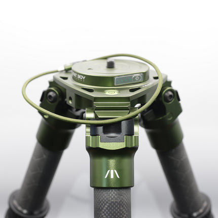 Revive™ Recharging Bowl